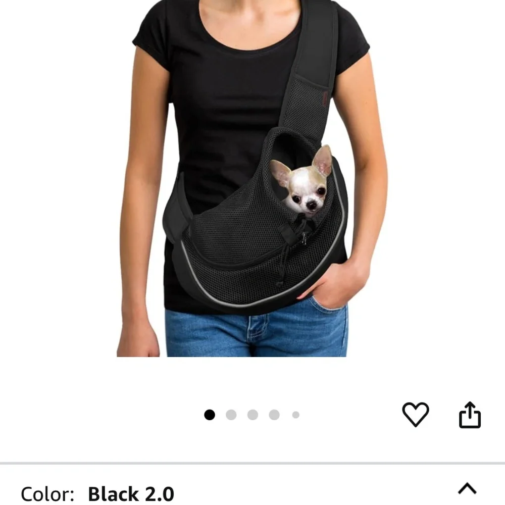 Small Pet Carrier
